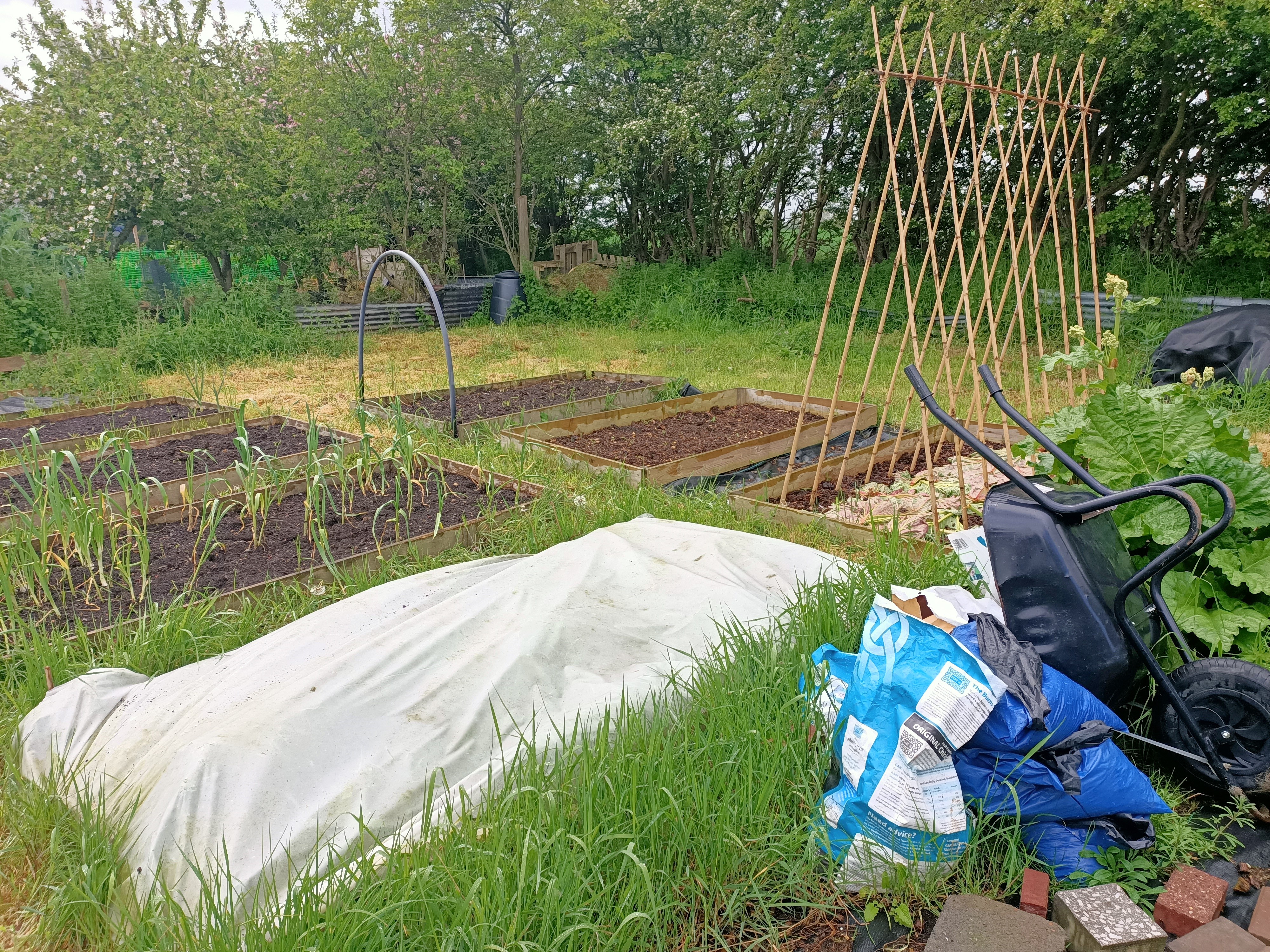 Available Allotments 